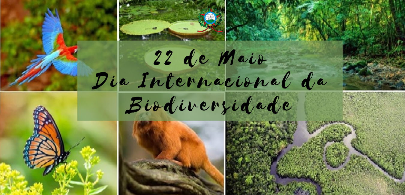 Dia Internacional da Biodiversidade